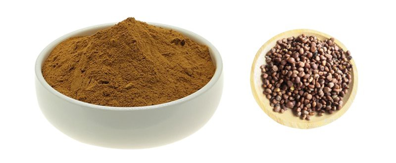 Semen raphani extract