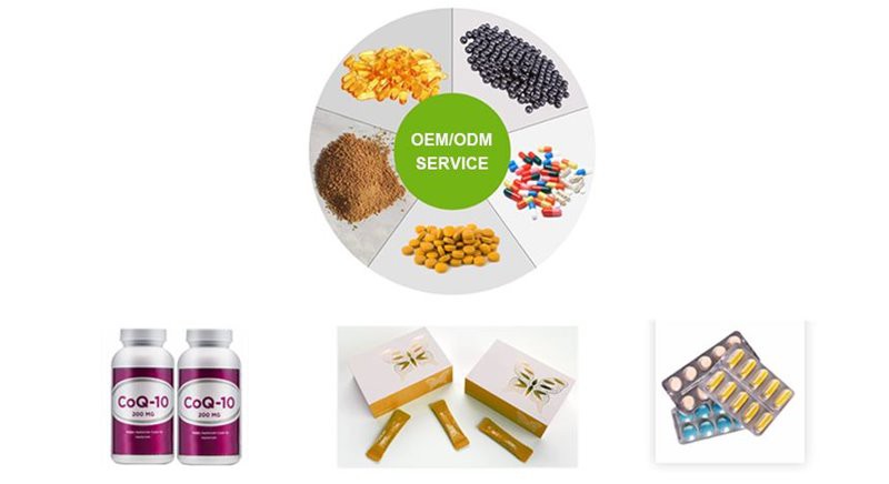 Application of semen raphani extract