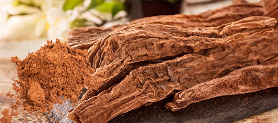Cynomorium Extract Cynomorium Extract