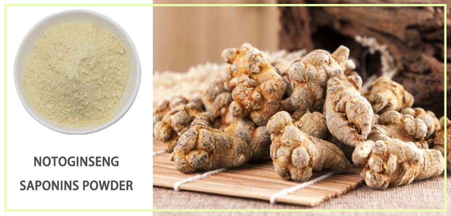 Notoginseng Saponins Powder 2 Notoginseng Saponins Powder 2
