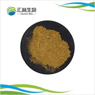 خلاصة حصن Isatis Indigotica