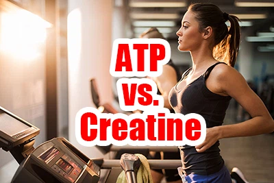 هل ATP أفضل من الكرياتين؟